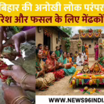 बिहार की अनोखी लोक परंपरा: अच्छी बारिश और फसल के लिए मेंढकों का विवाह