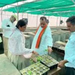 सिंदरू में बनी हाईटैक नर्सरी का मंत्री जोराराम कुमावत ने किया निरीक्षण,मानसून में रियायती दर पर मिलेंगे एक लाख पौधे