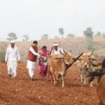 मुख्यमंत्री डॉ. मोहन यादव ने कुकरू में खेत में चलाया हल, किसानों का किया उत्साहवर्धन